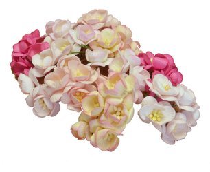Różowe kwiaty wiśni mix 50szt