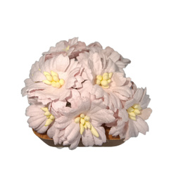 Astry różowe pastelowe - ok 3cm zestaw 10 szt. IAR