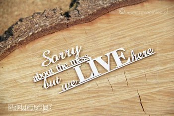 Sorry about the mess