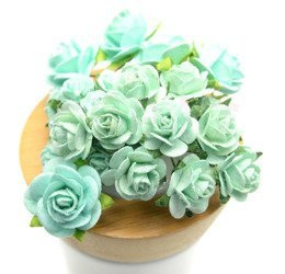 Miętowy zestaw startowy RÓŻE IAR-  25szt