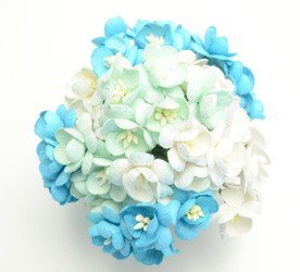 Turkusowe, miętowe, białe wiśnie 50szt