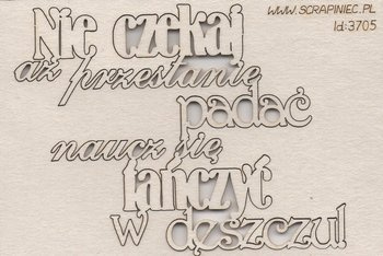 Nie czekaj aż przestanie padać...