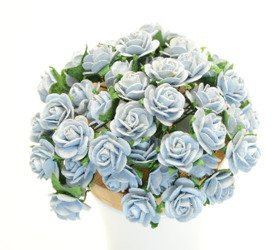 Błękitne róże otwarte zestaw