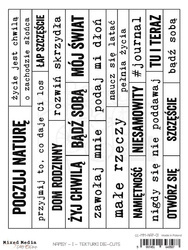 Napisy PL 01 Inspiracja