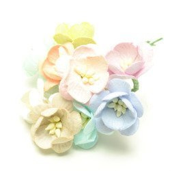 Wiśnie pastelowe 10szt