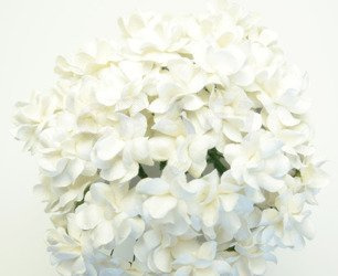 Kwiaty Filipinki - białe 50szt