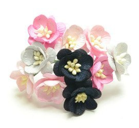 Czarne szare różowe wiśnie 10szt