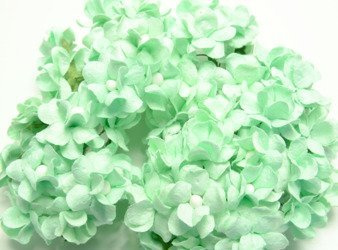 Kwiaty Filipinki - miętowe 50szt