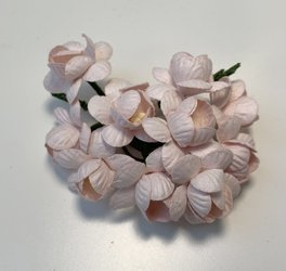 Pastelowe różowe kwiaty wiśni 10szt wiśnie