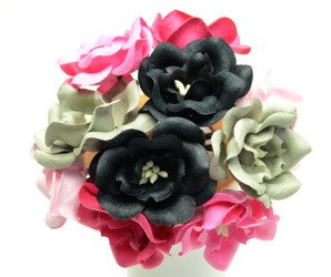 Magnolie różowe czarne szare mix  (IAR) 10szt