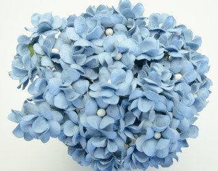 Kwiaty Filipinki - niebieskie 50szt