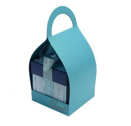 Nosidełko na exploding box turkusowe GoatBox