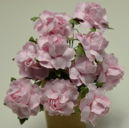 Róże wiejskie IAR 10 szt. pastelowe różowe większe