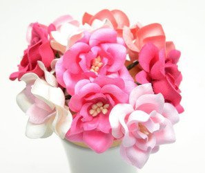 Magnolie różowe mix (IAR) 10szt