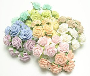 Różnokolorowe otwarte róże