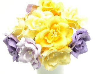 Magnolie żółte i fioletowe (IAR) 10szt