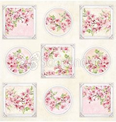 okładka Pink Blossom 2 10x