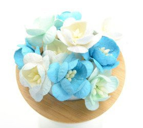 Turkusowe, miętowe, białe wiśnie 10szt