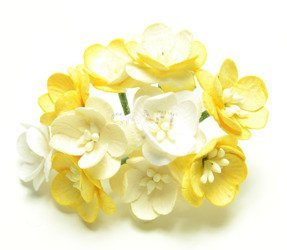 Wiśnie żółte białe kremowe 10szt