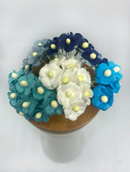 Niebieski mix mini sweethearty IAR 50szt