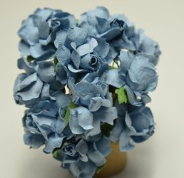 róże wiejskie IAR 10szt niebieskie większe