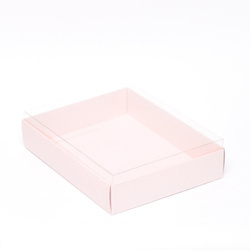 Pudełko prostokątne z przezroczystym wiekiem 16x21x4cm różowe GoatBox