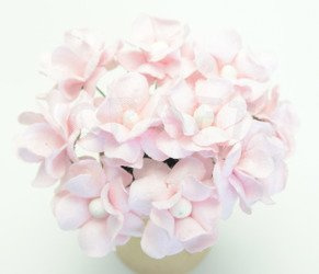 Kwiaty Filipinki - pastelowe różowe 10szt