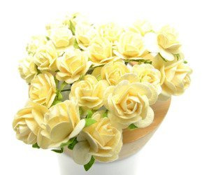 Kremowy zestaw startowy RÓŻE IAR-  25szt