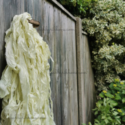 Tasiemka wstążka awokado 037