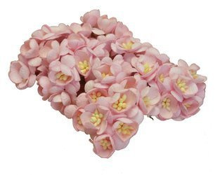 Pastelowe różowe wiśnie  50szt