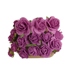 Fioletowy zestaw startowy RÓŻE IAR-  25szt