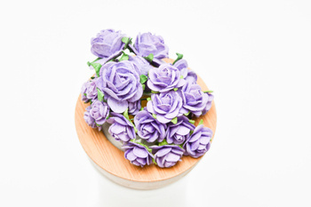 pastelowy fioletowy zestaw startowy RÓŻE IAR-  25szt