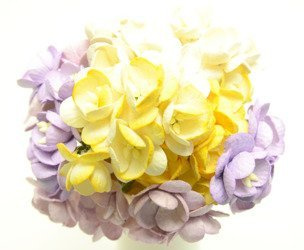 Pastelowe fioletowe, żółte, kremowe wiśnie 50szt