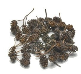 Małe naturalne szyszki olchy 20 szt