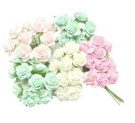 Białe różowe miętowe róże otwarte