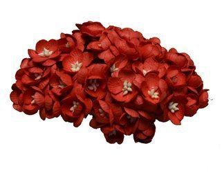 Czerwone kwiaty wiśni 50szt wiśnie