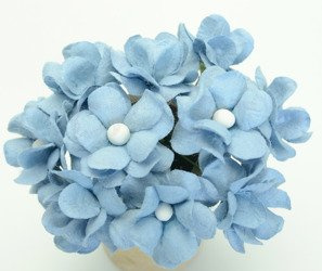 Kwiaty Filipinki - niebieskie 10szt