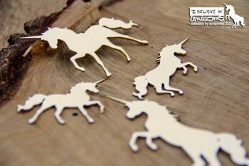 Believe in Unicorns jednorożce