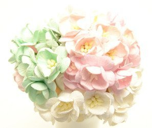 Pastelowe różowe miętowe białe wiśnie 50szt