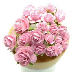 Różowy zestaw startowy RÓŻE IAR-  25szt