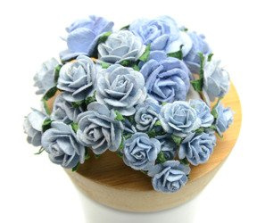 Błękitny zestaw startowy RÓŻE IAR-  25szt