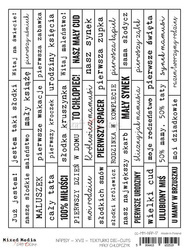 Napisy PL 17 Mały chłopczyk