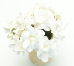 Kwiaty Filipinki - białe 10szt