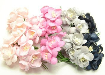 Czarne, szare, różowe wiśnie 50szt