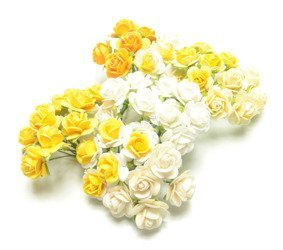 Białe i kremowe róże otwarte 25/50szt