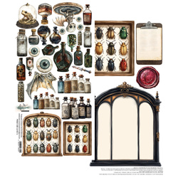 Behind Closed Doors - arkusz Badawczy 15x30cm