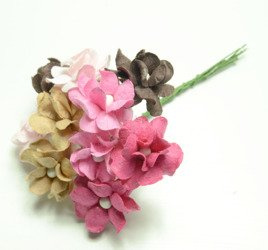 Kwiaty Filipinki - różowo-brązowy mix 10szt
