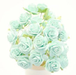 Miętowe róże otwarte zestaw