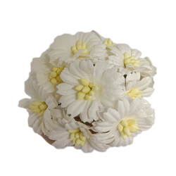 Astry białe - ok 3cm zestaw 10 szt. IAR