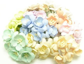 Pastelowe wiśnie IAR 50szt